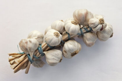 Ajo (Rasona / Allium sativum)