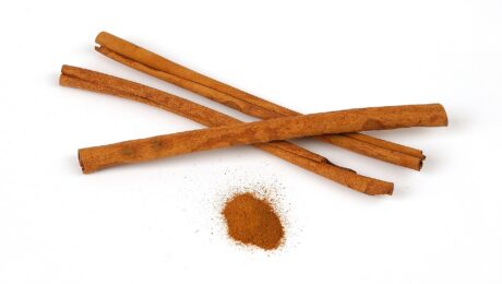 Canela (Tvak / Cinnamomum zeylanicum)