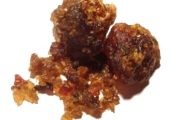 Guggul (Guggulu / Commiphora mukul)