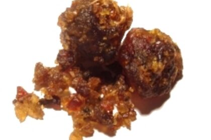 Guggul (Guggulu / Commiphora mukul)