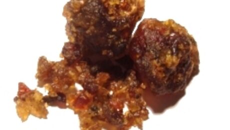 Guggul (Guggulu / Commiphora mukul)