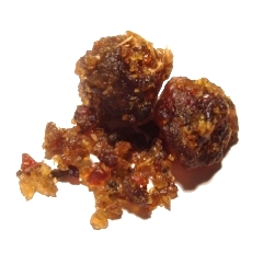 Guggul (Guggulu / Commiphora mukul)