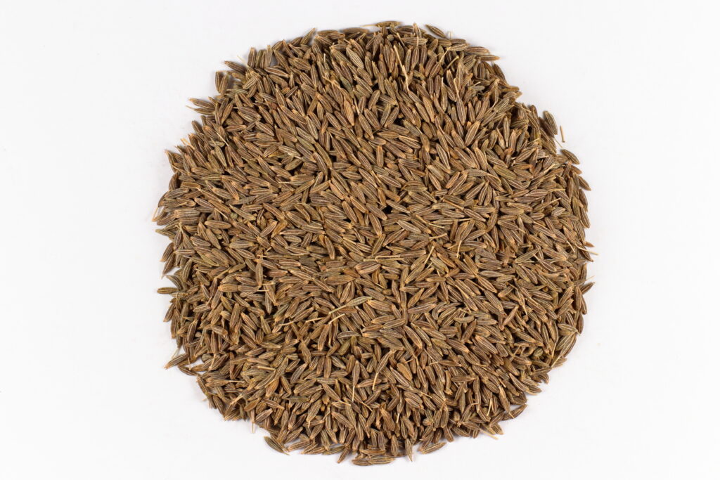 Semillas reales de comino, Cuminum cyminum