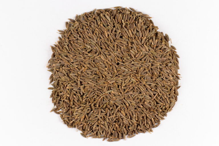 Semillas reales de comino, Cuminum cyminum