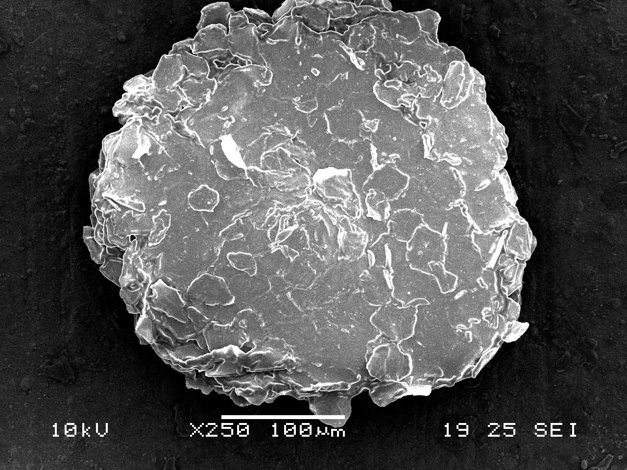 Imagen microscópica de una escama de caspa humana