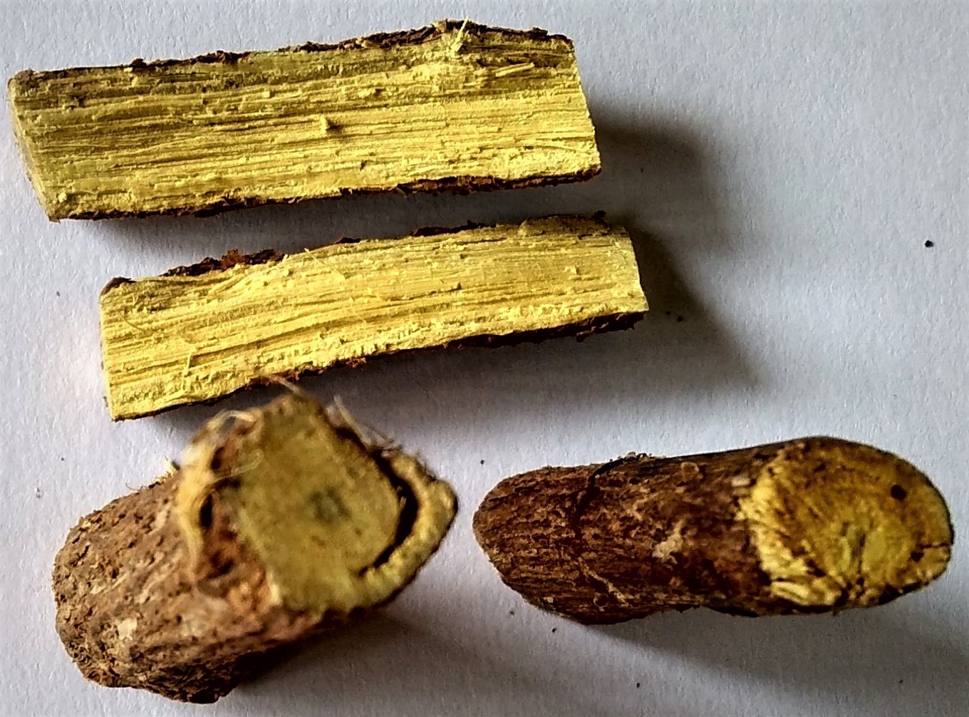 Raíz de regaliz o licorice, planta tradicionalmente asociada a mucosas digestivas