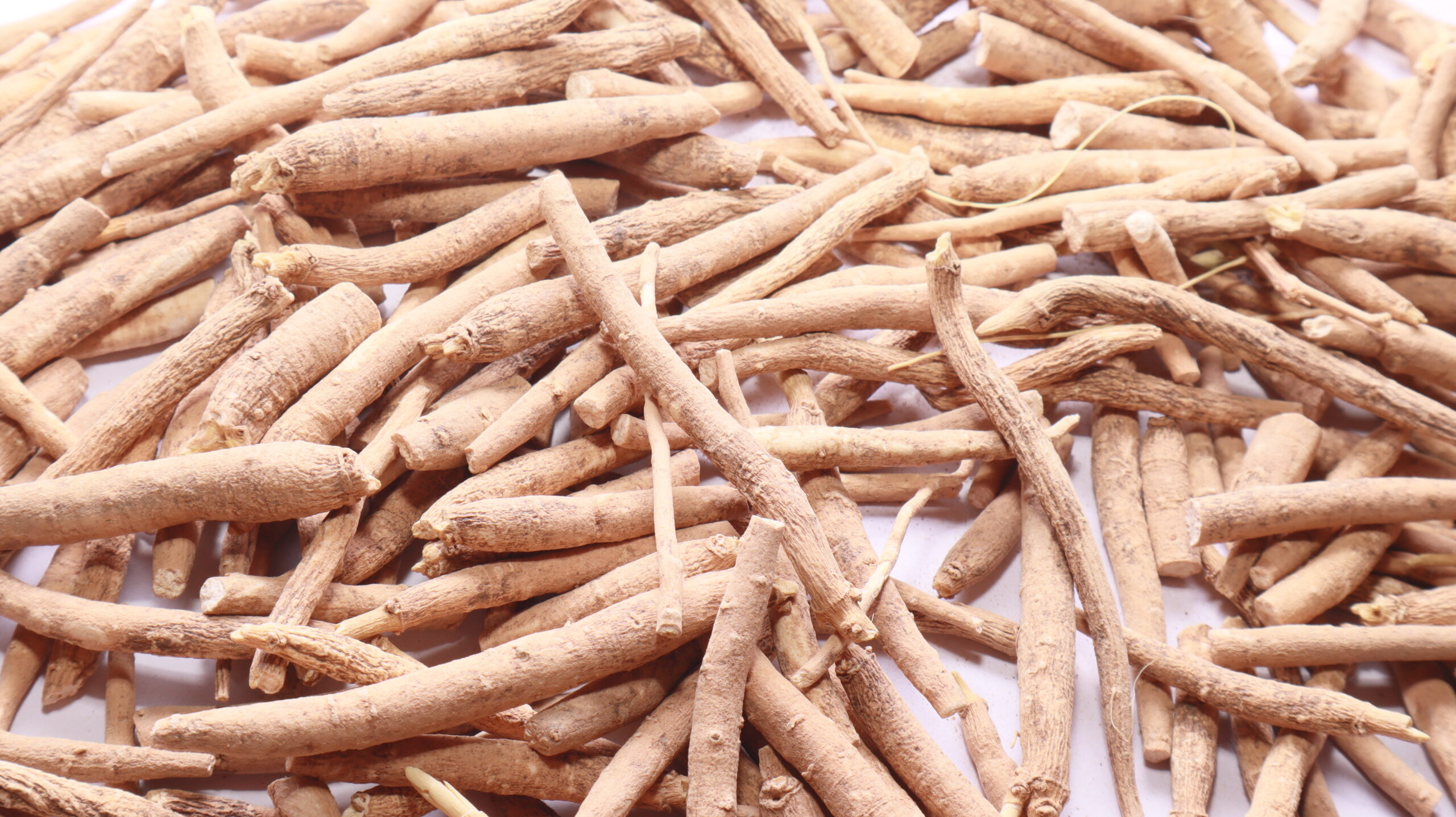 Raíces secas de ashwagandha utilizadas tradicionalmente en Ayurveda