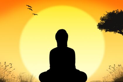 Meditación y regulación del sistema nervioso Persona meditando frente al sol, imagen simbólica de calma y regulación mental
