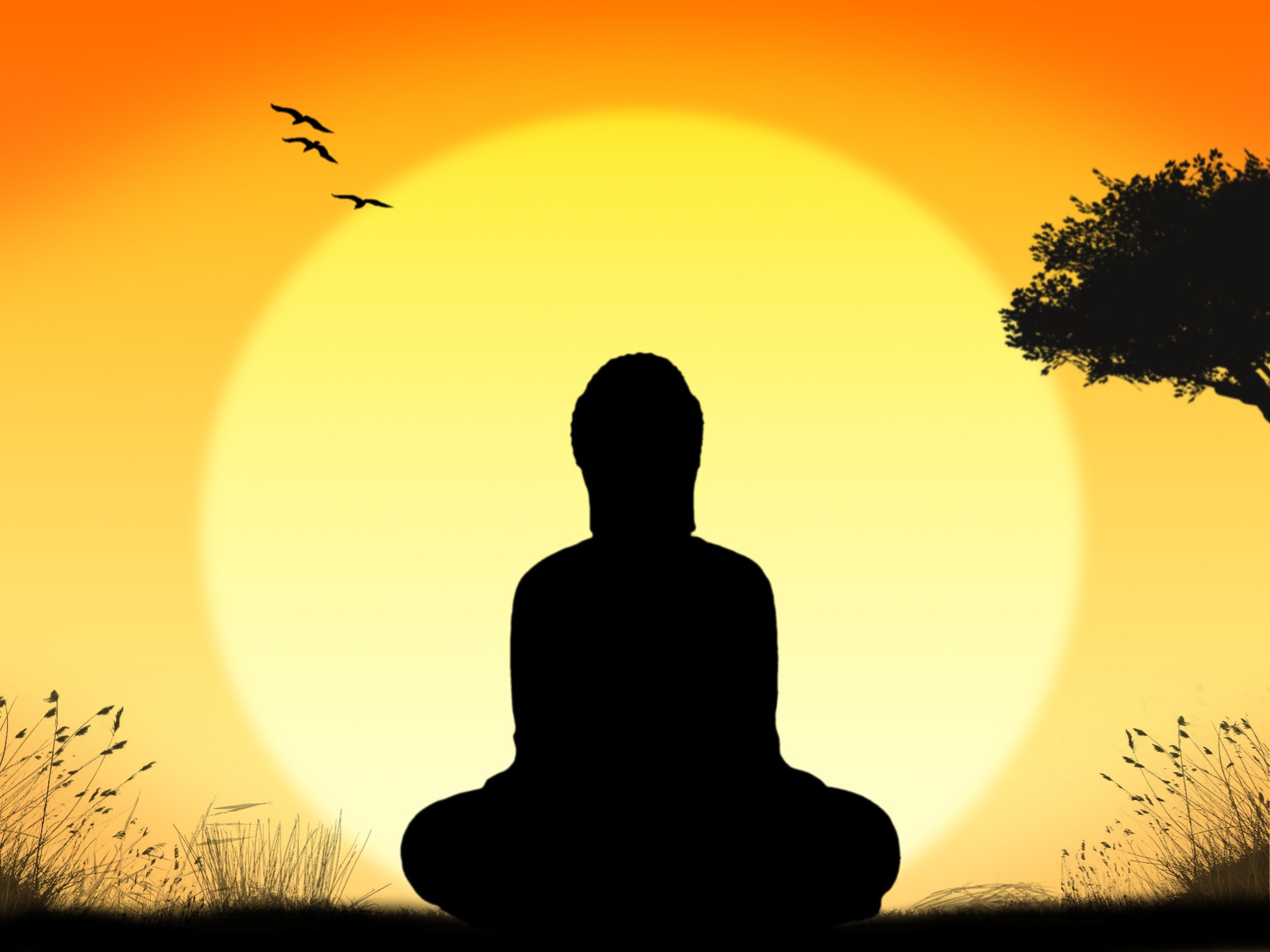 Persona meditando frente al sol, imagen simbólica de calma y regulación mental