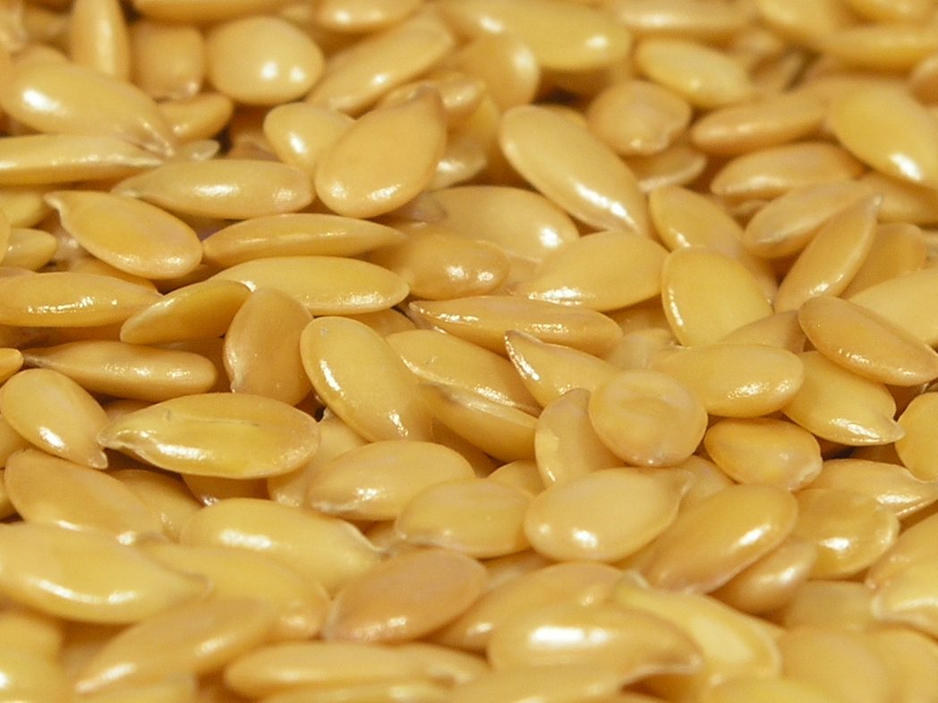 Semillas de lino, recurso alimentario rico en mucílagos y fibra