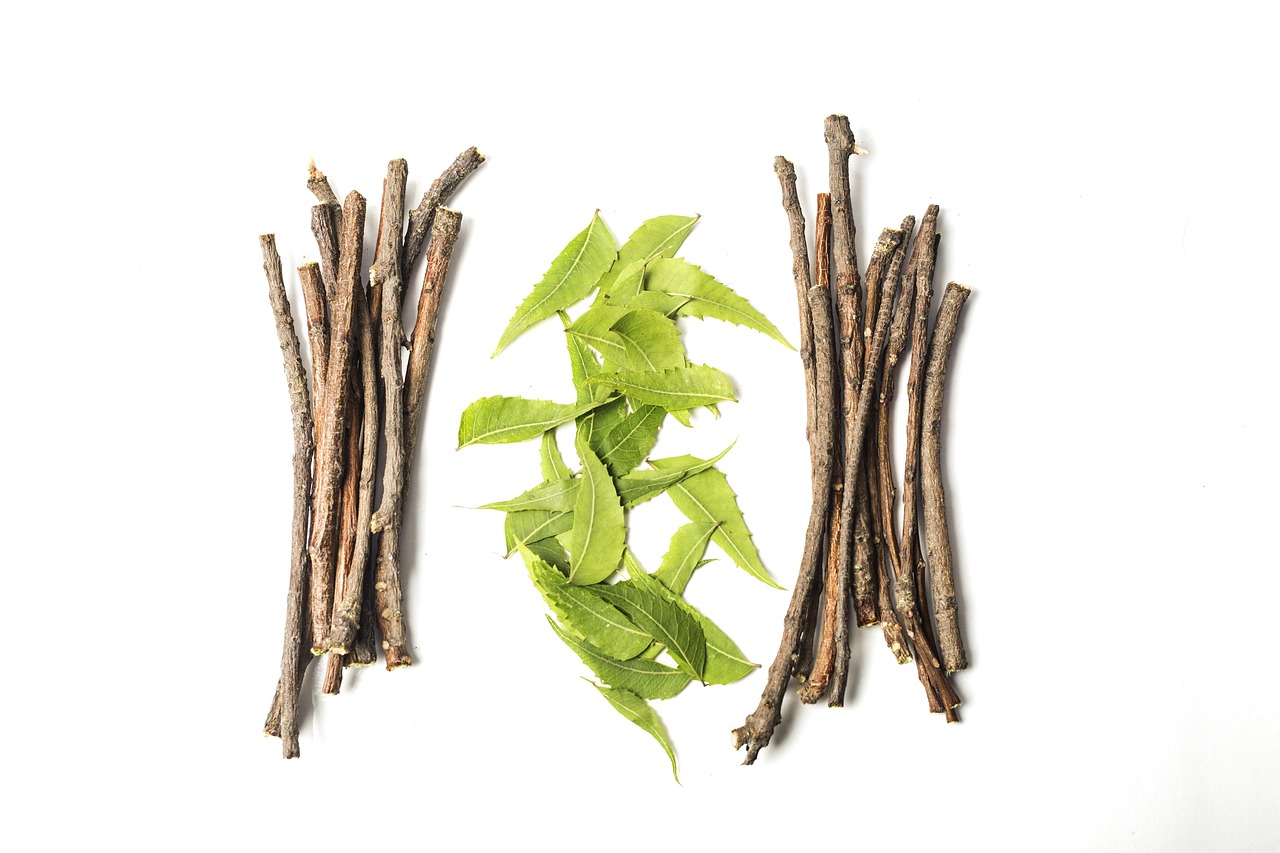 Ramas y hojas verdes de neem utilizadas en la tradición ayurvédica