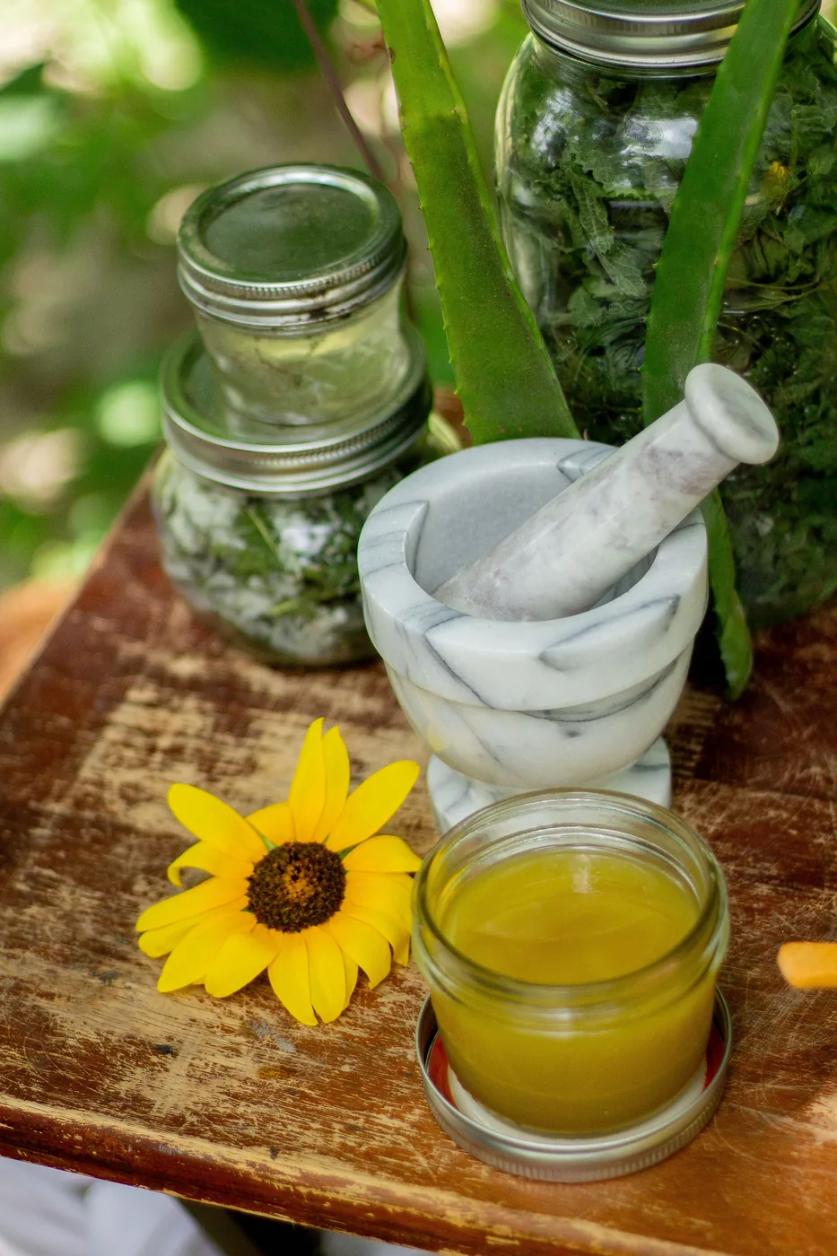 Plantas, preparados y mortero como parte del contexto de estudio ayurvédico
