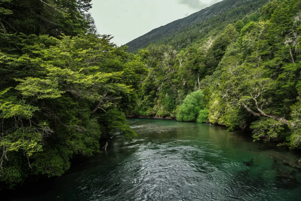 Paisaje natural con agua, vegetación, montañas y espacio abierto como representación de los cinco elementos en Ayurveda