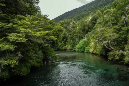 Paisaje natural con agua, vegetación, montañas y espacio abierto como representación de los cinco elementos en Ayurveda