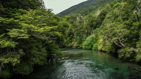 Paisaje natural con agua, vegetación, montañas y espacio abierto como representación de los cinco elementos en Ayurveda
