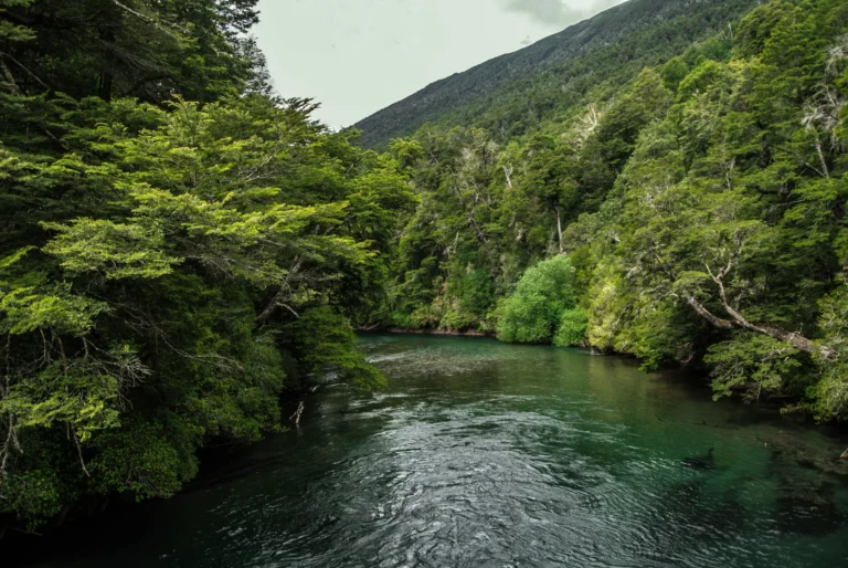 Paisaje natural con agua, vegetación, montañas y espacio abierto como representación de los cinco elementos en Ayurveda