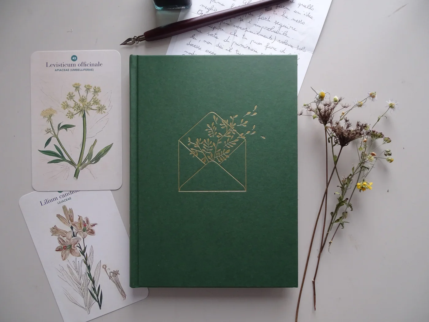 Cuaderno, láminas botánicas y apuntes para registrar observaciones ayurvédicas