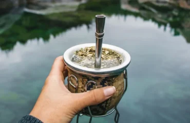 Mate con bombilla sostenido frente a un paisaje natural
