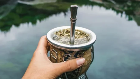 Yerba mate en la Patagonia Mate con bombilla sostenido frente a un paisaje natural