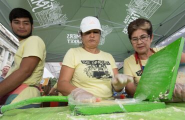 Tortilla making is a skill when failures can become a success at the U.S. Department of Agriculture (USDA) Farmers Market in Washington, D.C., on August 6, 2018. Today’s featured produce is watermelon. National and State Watermelon Queens are here to help people learn about watermelon and taste their samples of red, orange and yellow varieties. The watermelon association queens are represented by 2018 National Watermelon Queen Savannah Lee Christensen (orange jumpsuit), along with state-level queens Gabrielle Hastings for Mar-Del (Maryland-Delaware, yellow blouse), Savannah Hartley (black dress) for Georgia, Emily Rice Dicks (fuchsia dress) for South Carolina, and Camri Campbell (striped dress) for Florida. Seed spitting contests allowed people to try besting the 21-foot distance set by one of the queens. Watermelon eating contests demonstrated how fast some people can enjoy the watery fruit. Many of the featured fruit activities were held at the USDA Farmers Market's VegU educational tent; the ‘VegU' tent allows ‘VegUcators’ to provide tasting samples of the featured produce. The goal is to increase fruits and vegetables in meals and help the customers understand what is in season. Today’s producers are local farms, and vendors include locally sourced ingredients. Live music was provided by “emma G” for shoppers enjoying their meals and resting at shaded table seating areas in the market and the nearby garden. The garden allowed visitors to see bees, bumble bees, and monarch butterflies busy harvesting nectar and pollen from pollinator garden plots. USDA Photo by Lance Cheung. www.usda.gov @USDA_AMS USDAFarmersMkt www.usda.gov/farmersmarket Watermelon: • The Cucurbitaceae is an important food plant family and includes cucumber, gherkins, melons, gourds, marrows, squashes, and pumpkins. The fruit, which is botanically called a ‘pepo’ is used as a vegetable or dessert, but other parts of the plant (young leaves, shoots, seeds, and root) may also be consumed as food. The fruit contains a large amount of water and a reasonable amount of vitamin C. Cucurbits are usually climbing plants. • The classification of melons (Cucumis melo) is based on fruit characteristics (surface and flesh) but, because of hybridization, it is not always easy to distinguish between the groups. There are three main cultivar groups of melon: (1) musk melons are distinctly netted, with a raised network on the surface of the skin generally lighter than the overall color of the fruit such as ‘Galia’ melons; (2) cantaloupe melons have a warty or scaly skin but are not netted; (3) winter melons are either smooth or shallowly corrugated but not netted like the popular ‘Honey Dew’ melons. • The scientific name for watermelon is Citrullus lanatus.