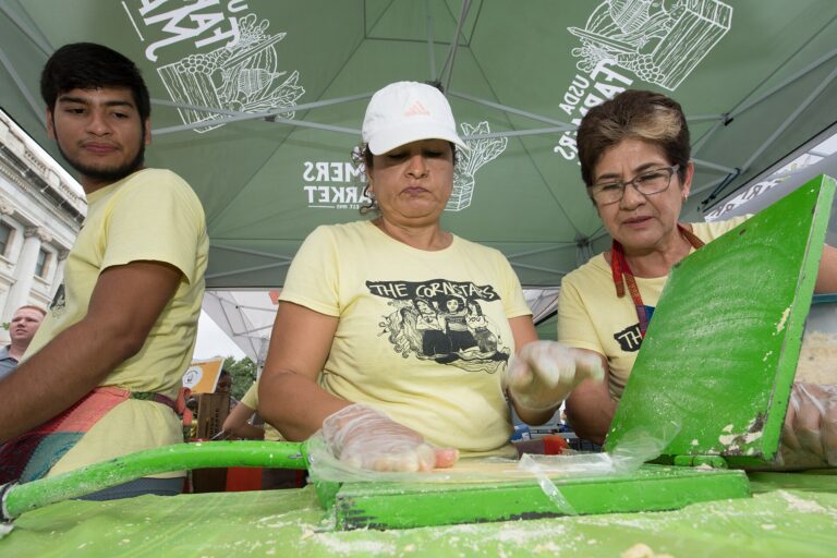 Tortilla making is a skill when failures can become a success at the U.S. Department of Agriculture (USDA) Farmers Market in Washington, D.C., on August 6, 2018. Today’s featured produce is watermelon. National and State Watermelon Queens are here to help people learn about watermelon and taste their samples of red, orange and yellow varieties. The watermelon association queens are represented by 2018 National Watermelon Queen Savannah Lee Christensen (orange jumpsuit), along with state-level queens Gabrielle Hastings for Mar-Del (Maryland-Delaware, yellow blouse), Savannah Hartley (black dress) for Georgia, Emily Rice Dicks (fuchsia dress) for South Carolina, and Camri Campbell (striped dress) for Florida. Seed spitting contests allowed people to try besting the 21-foot distance set by one of the queens. Watermelon eating contests demonstrated how fast some people can enjoy the watery fruit. Many of the featured fruit activities were held at the USDA Farmers Market's VegU educational tent; the ‘VegU' tent allows ‘VegUcators’ to provide tasting samples of the featured produce. The goal is to increase fruits and vegetables in meals and help the customers understand what is in season. Today’s producers are local farms, and vendors include locally sourced ingredients. Live music was provided by “emma G” for shoppers enjoying their meals and resting at shaded table seating areas in the market and the nearby garden. The garden allowed visitors to see bees, bumble bees, and monarch butterflies busy harvesting nectar and pollen from pollinator garden plots. USDA Photo by Lance Cheung. www.usda.gov @USDA_AMS USDAFarmersMkt www.usda.gov/farmersmarket Watermelon: • The Cucurbitaceae is an important food plant family and includes cucumber, gherkins, melons, gourds, marrows, squashes, and pumpkins. The fruit, which is botanically called a ‘pepo’ is used as a vegetable or dessert, but other parts of the plant (young leaves, shoots, seeds, and root) may also be consumed as food. The fruit contains a large amount of water and a reasonable amount of vitamin C. Cucurbits are usually climbing plants. • The classification of melons (Cucumis melo) is based on fruit characteristics (surface and flesh) but, because of hybridization, it is not always easy to distinguish between the groups. There are three main cultivar groups of melon: (1) musk melons are distinctly netted, with a raised network on the surface of the skin generally lighter than the overall color of the fruit such as ‘Galia’ melons; (2) cantaloupe melons have a warty or scaly skin but are not netted; (3) winter melons are either smooth or shallowly corrugated but not netted like the popular ‘Honey Dew’ melons. • The scientific name for watermelon is Citrullus lanatus.