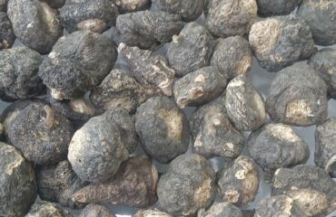 black maca