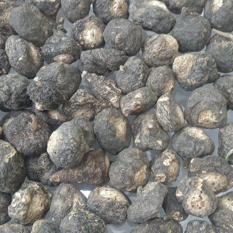 black maca